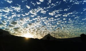 Is there a relationship between “Freewill” and “Revelation”?